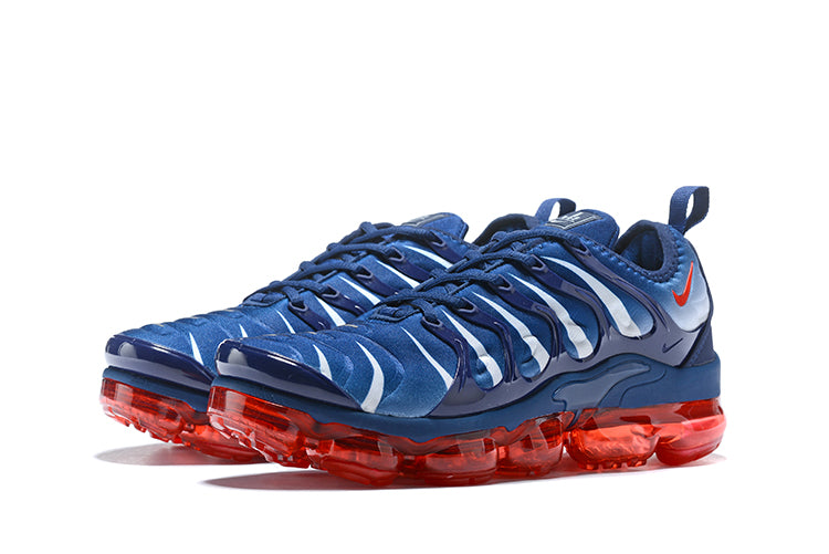 Nike Air Max Plus TN