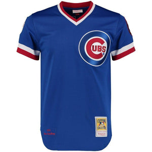 Ryne Sandberg 1984 Chicago Cubs Mitchell & Ness Throwback Jersey - Royal